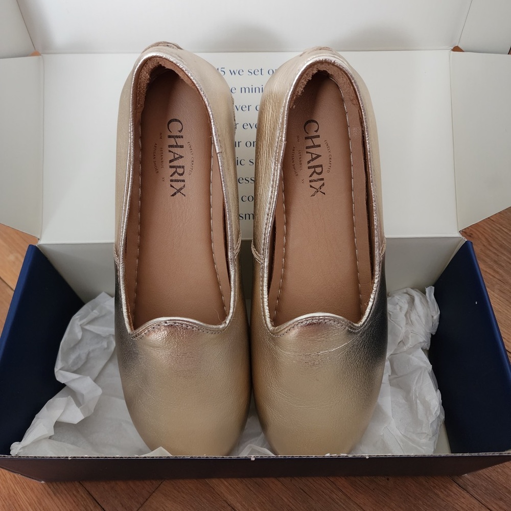 NEW Charix Classic Size 40